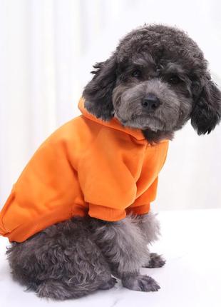 Оранжевый худи для собаки resteq. толстовка с капюшоном для собаки оранжевая кофта для домашних животных,