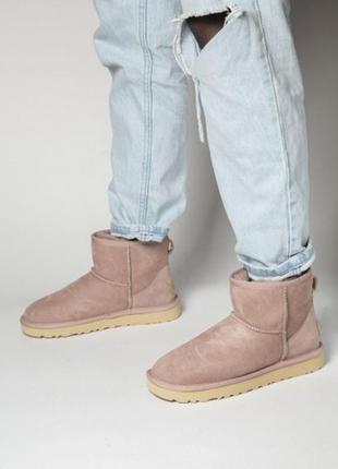 Ugg classic mini suede pink женские сапоги угги розовые из овчины