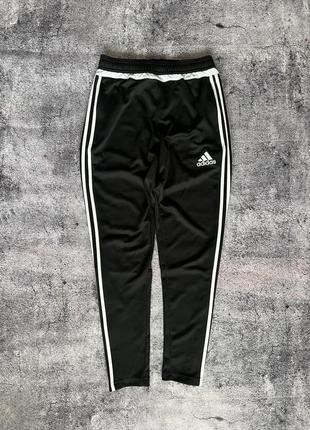 Спортивные штаны adidas