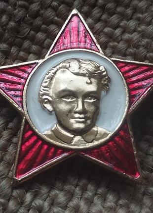 Зірочка скоринка