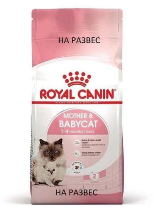 Сухой корм для новонароджених кошенят та кішок royal canin mother & babycat на развес 1 кг