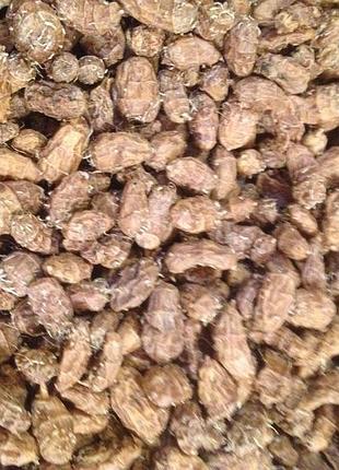 Орехи чуфа (земляной миндаль) домашние на семена или еду