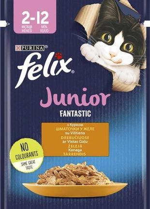 Влажный корм для котят purina felix junior fantastic с курицей в желе 85 гр