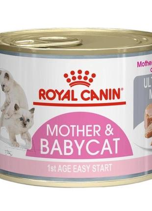 Влажный корм для новорожденных котят royal canin mother & babycat 195гр