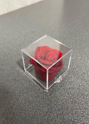 Бутон розы в шкатулке, стабилизированная роза, роза в коробке1 фото