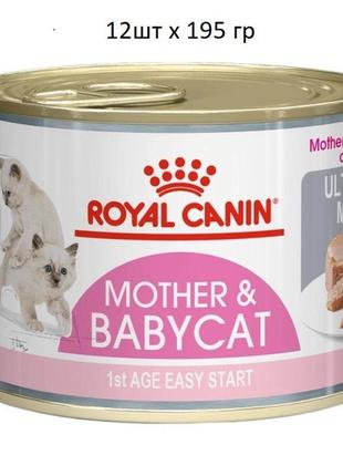 Влажный корм для новорожденных котят royal canin mother & babycat 195гр х 12шт