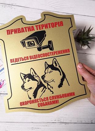 Табличка комбинированная "видеонаблюдение"+"злая собака"