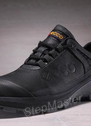 Кроссовки мужские кожаные ecco trekking force2 фото