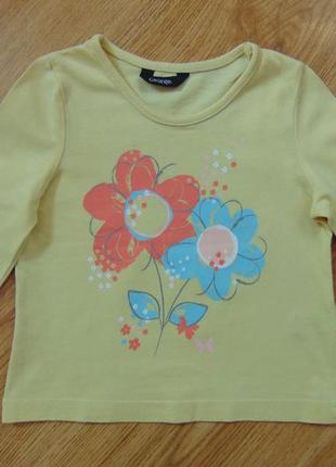 Реглан на 1-1,5 року george george