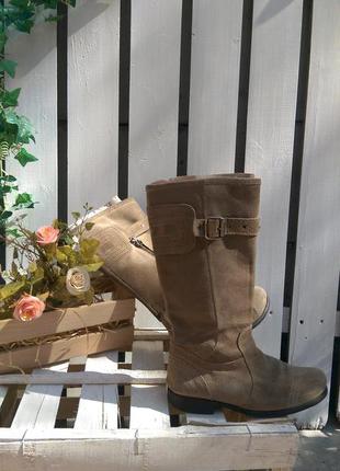 Чоботи італія розмір 37 устілка 24-24,5