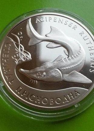 Монета украина 2012 год 2 гривны стерлядь пресноводная