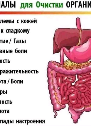 Засоби для схуднення