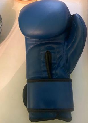 Боксерські рукавиці 10oz1 фото