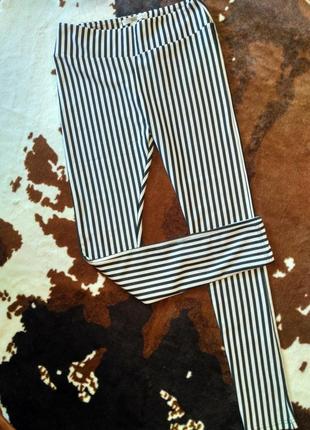 Лосини new look