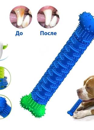 Самоочисна зубна щітка іграшка для собак chewbrush6 фото