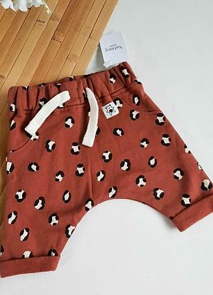 Цветные штанишки