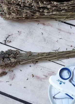 Букет лаванды (сухоцвет лаванды, букет из 20 веточек) с лентой