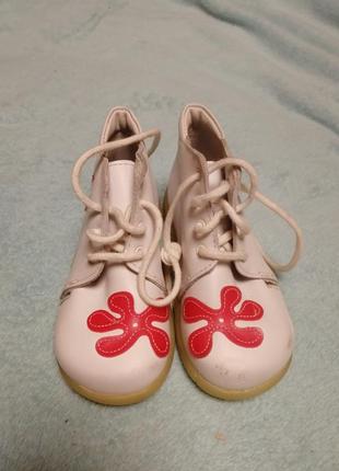 Новые. демисезонные ботинки baby botte р 223 фото