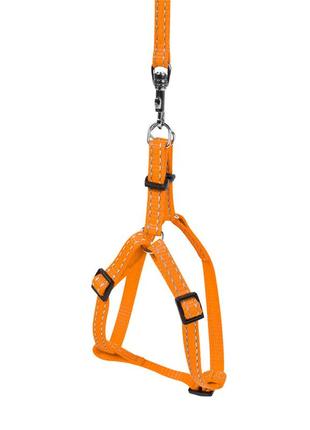 Шлея dog extreme нейлоновая регулируемая с поводком (ширина 14мм, длина 115см, в:40-55см) оранжевый3 фото