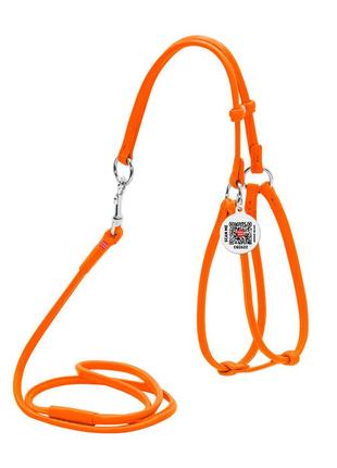 Шлея с поводком для собак кожаная waudog glamour c qr паспортом, круглая, д 6 мм, а 42-60 см, в 46-64 см