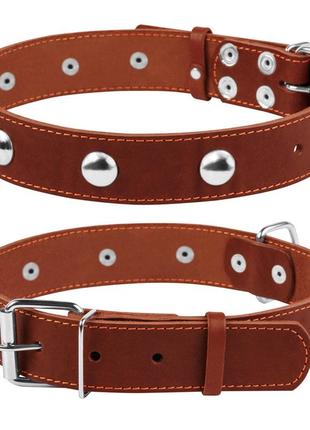 Ошейник "collar" одинарный с украшениями (ширина 35мм, длина 48-63см) коричневый