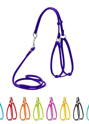 Шлея с поводком для собак кожаная waudog glamour c qr паспортом, круглая, д 6 мм, а 26-46 см, в 30-50 см