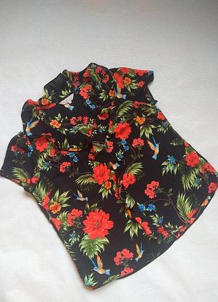 Шикарная блуза с колибри dorothy perkins 14/16,блузка шифонновая цветочный принт