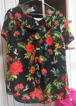 Шикарная блуза с колибри dorothy perkins 14/16,блузка шифонновая цветочный принт3 фото
