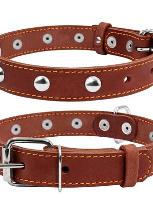 Ошейник "collar" одинарный с украшениями (ширина 20мм, длина 32-40см) коричневый