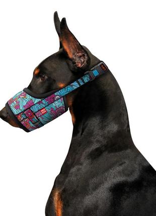 Намордник для собак waudog nylon, рисунок "лето", пластиковый фастекс, размер №2, о 19-26 см3 фото