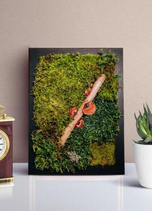 Фіто-картина з моху, лісове панно з грибами, ароматизатор для дому1 фото