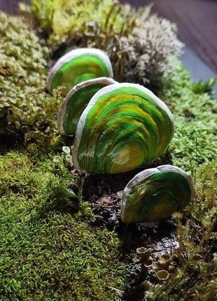 Лісова фітокартина панно з стабілізованого моху з грибами трутовиками, мох в рамці4 фото