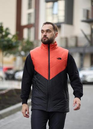 Демисезонная жилетка tnf