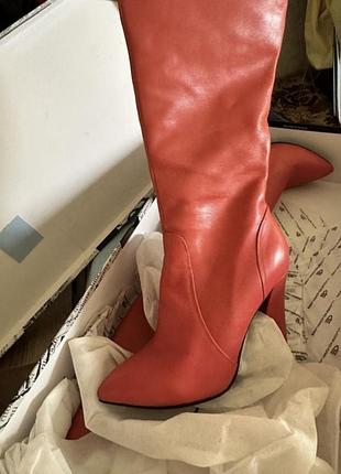 Сапожки giardini