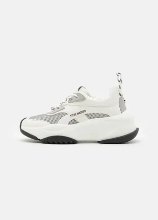 Кросівки steve madden
