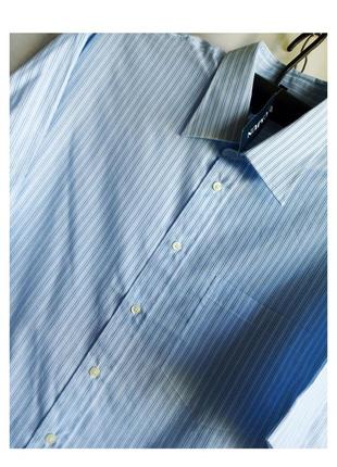 Рубашка мужская с коротким рукавом. расцветка голубая в полоску. большой размер2 фото