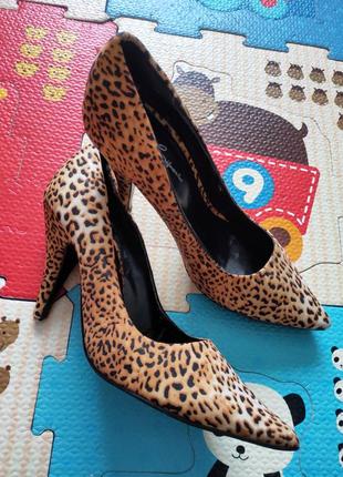 Леопардовые туфли лодочки2 фото