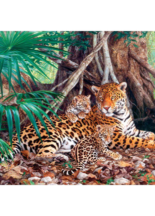 Пазли 3000 елементів "ягуари в джунглях"2 фото