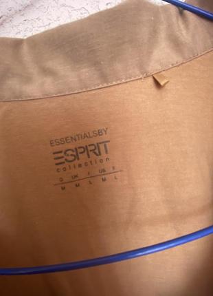 Стильный фирменный базовый лонгслив поло esprit2 фото