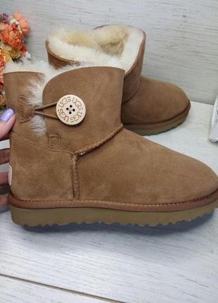 Ugg mini bailey button ii brown (1016422) угги коричневые с пуговицей8 фото