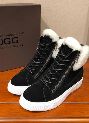 Ugg australia оригинал. угги женские ботинки черные со скрытой подошвой (каблуком) 1123-11 фото