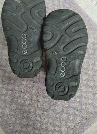 Ecco4 фото