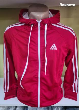 Кофта adidas тканина лакоста весна літо, кофта на блискавці з капюшоном чоловіча унісекс, чоловіча товстовка олімпійка адідас,  червона кофта адідас