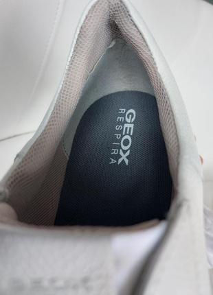 Кожаные кеды geox 4