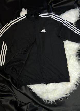 Мужская олимпийка adidas6 фото