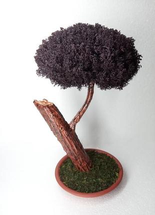 Бонсай из стабилизированного мха
