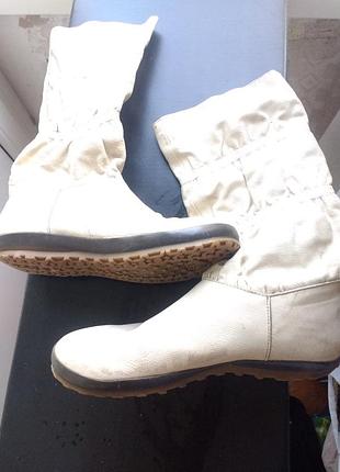 Сапоги lobster