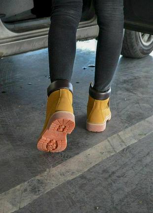 Женские ботинки timberland classic termo8 фото