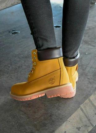 Женские ботинки timberland classic termo5 фото