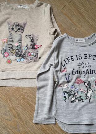 Свитшоты, регланы, кофта